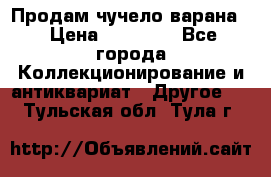 Продам чучело варана. › Цена ­ 15 000 - Все города Коллекционирование и антиквариат » Другое   . Тульская обл.,Тула г.